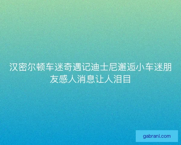 汉密尔顿车迷奇遇记迪士尼邂逅小车迷朋友感人消息让人泪目