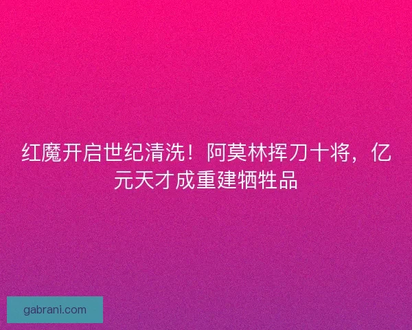 红魔开启世纪清洗！阿莫林挥刀十将，亿元天才成重建牺牲品